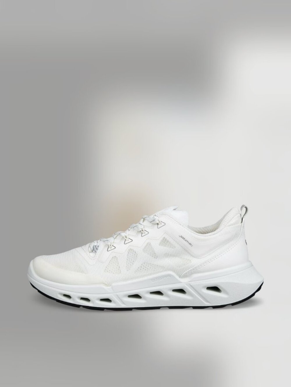 ECCO Biom 720 Breathru Sneaker in White, size 40